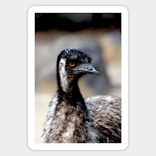 Emu Portrait Sticker